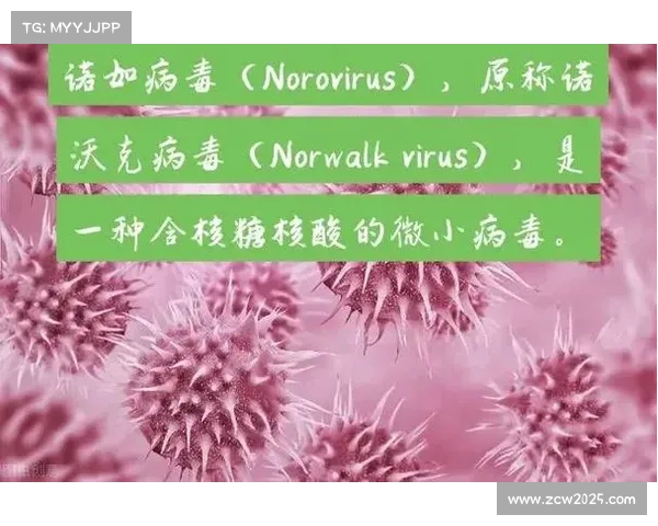 马赛赛前爆发诺如病毒 三名主力因病缺席关键战局